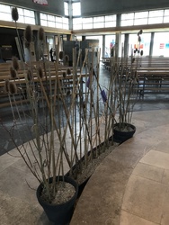 „Unser Herz gefangen in Gestrüpp und Dorn.“ Foto: „Unser Herz gefangen in Gestrüpp und Dorn.“