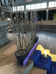 „Unser Herz gefangen in Gestrüpp und Dorn.“ Foto: „Unser Herz gefangen in Gestrüpp und Dorn.“