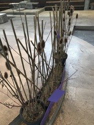 „Unser Herz gefangen in Gestrüpp und Dorn.“ Foto: „Unser Herz gefangen in Gestrüpp und Dorn.“