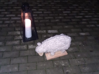 Schaf am Hirtenfeuer