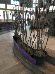 „Unser Herz gefangen in Gestrüpp und Dorn.“ Foto: „Unser Herz gefangen in Gestrüpp und Dorn.“