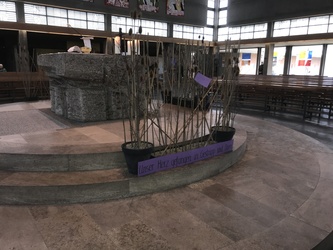 „Unser Herz gefangen in Gestrüpp und Dorn.“ Foto: „Unser Herz gefangen in Gestrüpp und Dorn.“